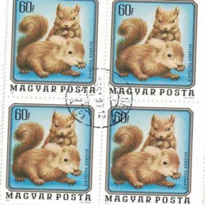 HUNGARY SQUIRREL THEME STAMP BLOCK