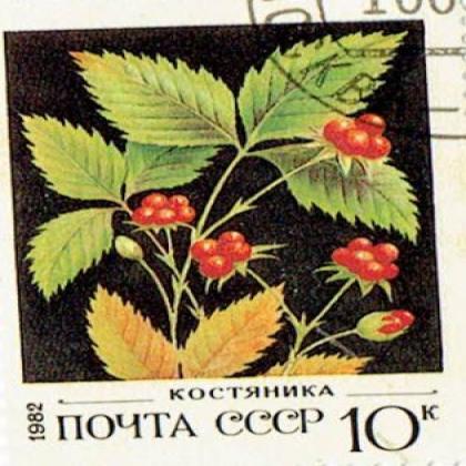 RUSSIA 1982 CCCP 10K FLOWER THEME STAMP WS 4