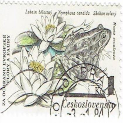 CZECHOSLOVAKIA FROG COMMEMORATIVE STAMP WS 8