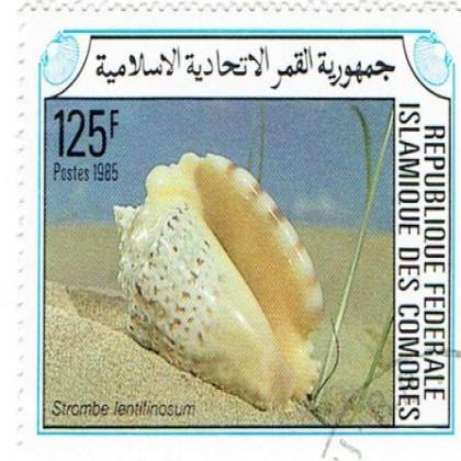 Federal Islamic Republic COMORES SNAIL THEME  STAMP WS3