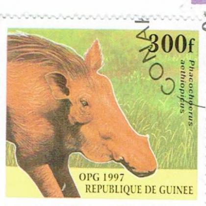 GUINEA 1997 WILD PIG COMMEMORATIVE STAMP WS 8