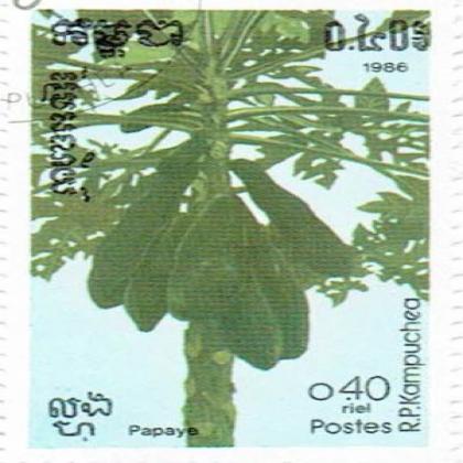 LAO RP KAMPUCHEA 1986 PAPYA FRUITS STAMP WS3