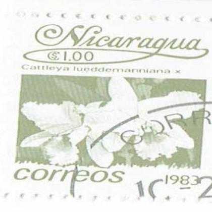 NICARAGUA 1983 CATTLEYA FLOWER CORREOS STAMP WS8