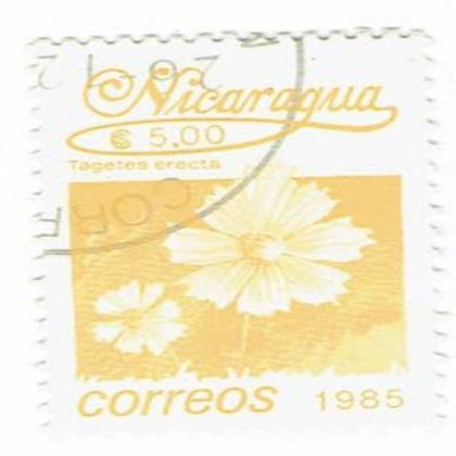 NICARGUA 1985 CORREOS TAGETES ERECTA FLOWER  STAMP WS8