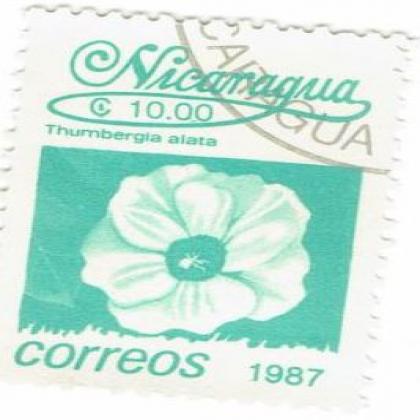 NICARGUA 1987 CORREOS FLOWER COMMEMORATIVE STAMP WS 8