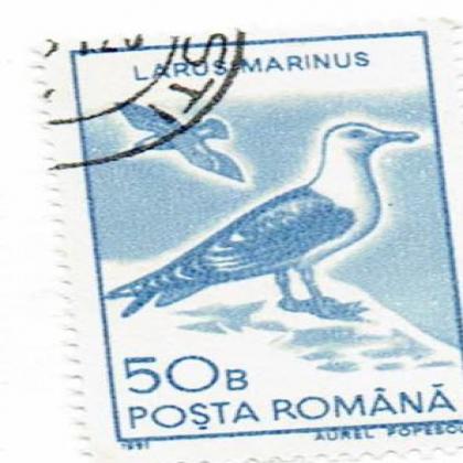 ROMANIA 1991 LARUSMARINUS BIRD THEME STAMP WS8