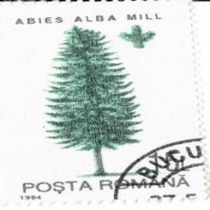 ROMANIA 1994 ABIES ALBA MILL PINE TREE STAMP WS8