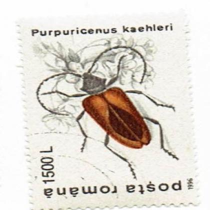 ROMANIA 1996 INSECT THEME 1500L  STAMP WS 8