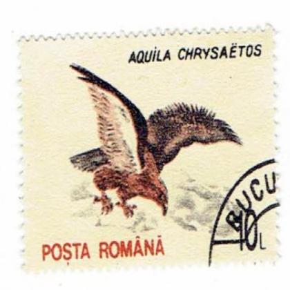 ROMANIA AQUILA CHRYSAETOS BIRD THEME STAMP WS8