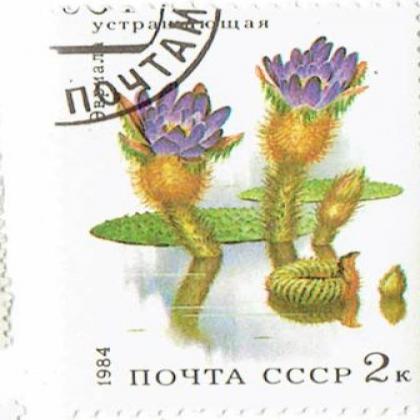 RUSSIA 1984 NOYTA CCCP FLOWER THEME STAMP WS8