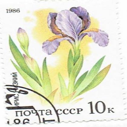 RUSSIA 1986 NOYTA CCCP FLOWER THEME STAMP WS8