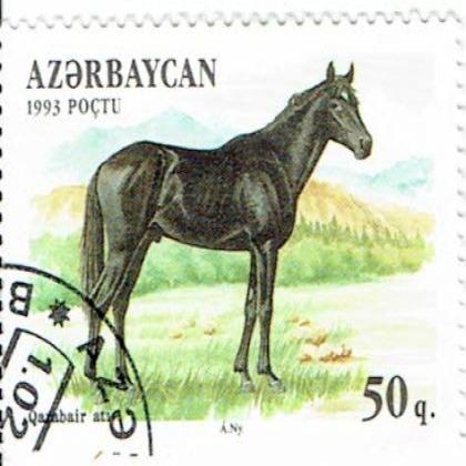RUSSIA AZARBAYCAN 1993 POCTU HORSE STAMP WS 8